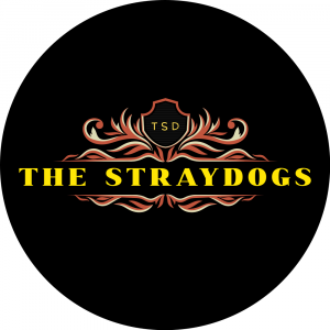 The StrayDogs - Classic Rock Band in Yellowknife, Northwest Territories