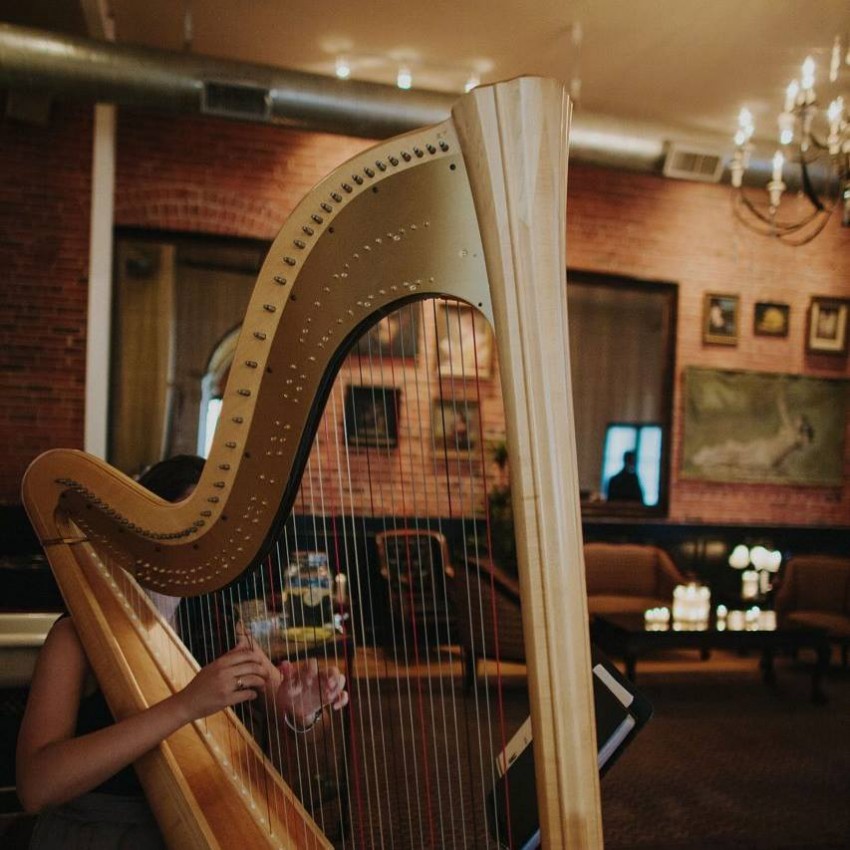 Gallery photo 1 of The Traveling Harpist