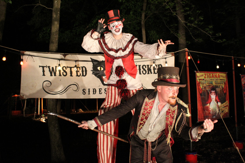 Gallery photo 2 of The Twisted Whisker Sideshow