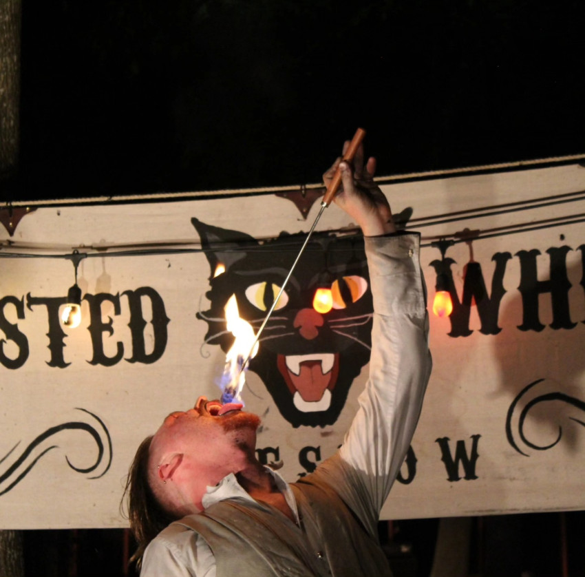 Gallery photo 1 of The Twisted Whisker Sideshow