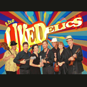 The Ukedelics - Acoustic Band in Nashville, Tennessee