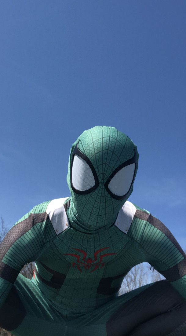 Gallery photo 2 of The Unbeatable Spider-Man!