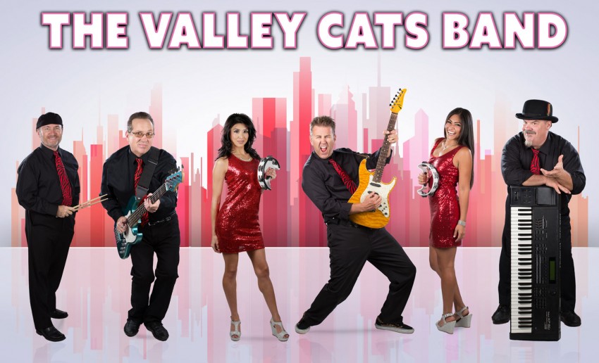 Hire The Valley Cats Band - Wedding Band in Fresno, California