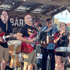 The Vig - Cover Band / 1990s Era Entertainment in Worcester, Massachusetts