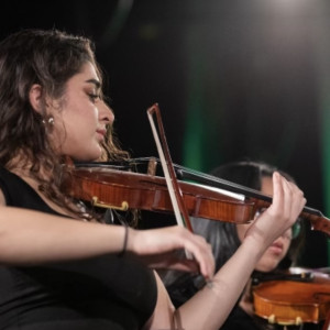 The Violin Girl - Violinist / Wedding Entertainment in Valley Stream, New York