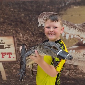 Alligator and Reptile Adventure
