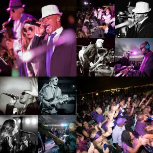 The Wildside Band SD - Cover Band / Corporate Event Entertainment in San Diego, California
