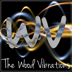 The Wood Vibrations - Acoustic Band / Folk Band in Yonkers, New York