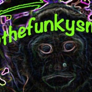 thefunkySmonkey