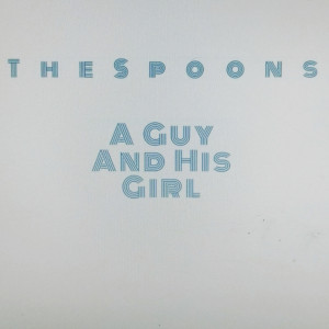TheSpoons - Indie Band in Noblesville, Indiana
