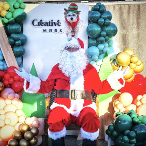 Amaze Sing Telegrams - Santa Claus in Costa Mesa, California