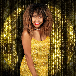 Tina Turner Tribute - Tribute Artist in Orlando, Florida