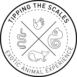 Tipping the Scales - Animal Entertainment in Whitehall, Michigan