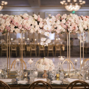 TNT Catering And Event Planning - Wedding Planner in Houston, Texas