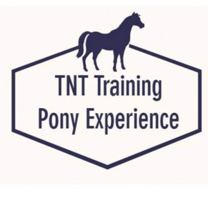 TNT Training Pony Experience - Pony Party in Dahlonega, Georgia