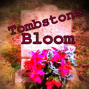 Tombstone Bloom - Rock Band / Classic Rock Band in Bloomington, Indiana