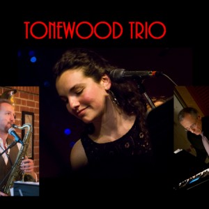 Tonewood Trio - Jazz Band / Wedding Musicians in Creswell, Oregon