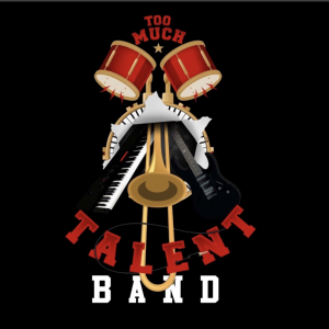 Too Much Talent Band - Cover Band / Corporate Event Entertainment in Washington, District Of Columbia