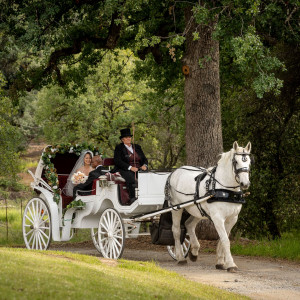 Top Hand Ranch carriage service - Horse Drawn Carriage / Holiday Party Entertainment in Elverta, California