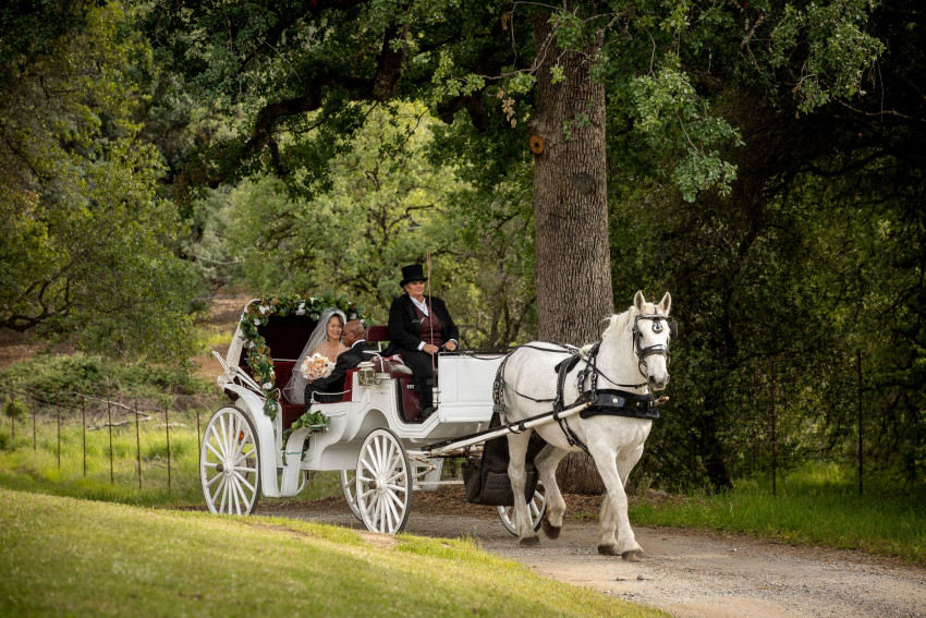 Gallery photo 1 of Top Hand Ranch carriage service