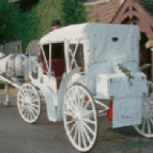 Top Hats and Tails Carriage Company