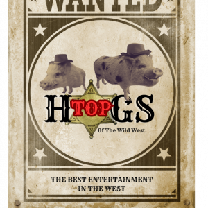 Top Hogs - Animal Entertainment in Franktown, Colorado