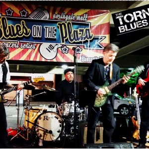 Tornado Blues Band - Americana Band in Raleigh, North Carolina