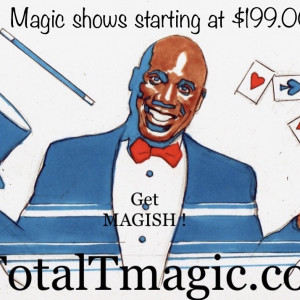 Total-T Magic by Terrence Hunter - Magician / Family Entertainment in Glenview, Illinois