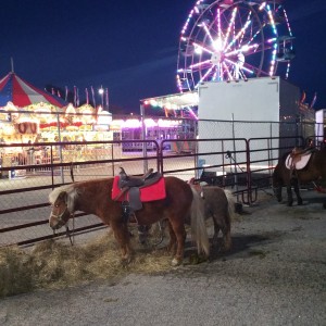 Totally Teeny Traveling Farm - Pony Party in Wilsons, Virginia