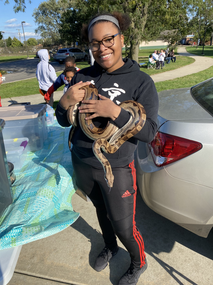 Hire Traveling Reptile Show Exotic Summit Reptile Show in East