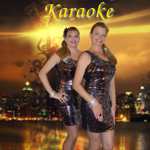 Diamond Nights Karaoke - Karaoke DJ in Virginia Beach, Virginia