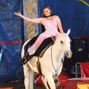 Trick Horse Performances