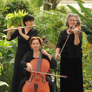 Trio Ambiance - Classical Ensemble in Montreal, Quebec