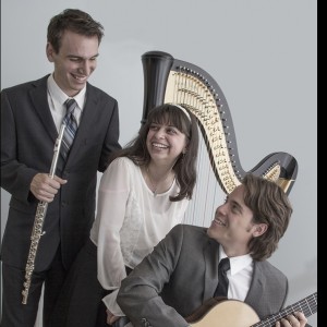 Trio Delphi - Classical Ensemble / Classical Duo in Garden City, New York