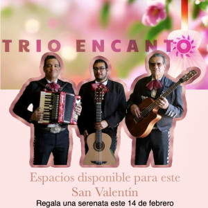 Mariachi Trio Encanto - Mariachi Band / Singing Telegram in El Paso, Texas