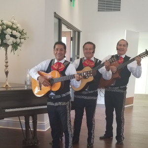 Trio Mariachi Jalisco