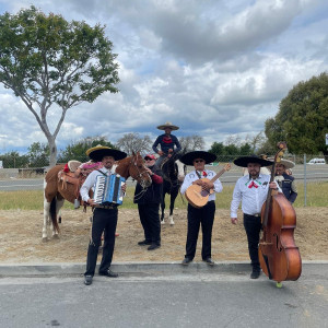 Trio Mariachi Zamora