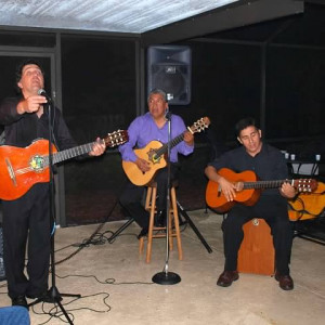 Trio Rumba Latina - Acoustic Band in West Palm Beach, Florida