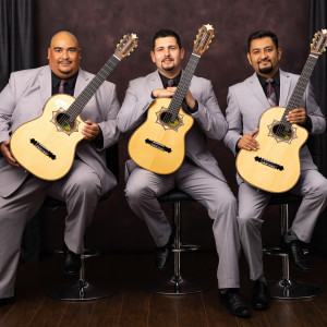 Trio Tres En Punto - Bolero Band / Spanish Entertainment in McAllen, Texas