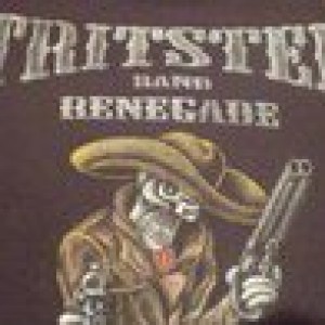 Tritster Renegade Band - Country Band / Southern Rock Band in Columbus, Ohio