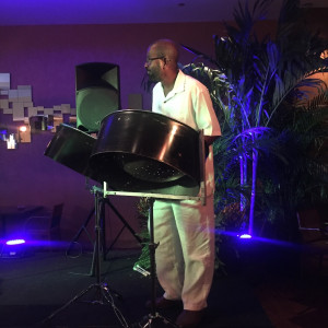 Tropical steel - Steel Drum Player / Caribbean/Island Music in Kissimmee, Florida