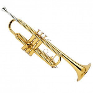 Trumpet Player - Trumpet Player / Brass Musician in Springfield, Oregon