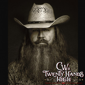 Twenty Hands High - Country Band / Southern Rock Band in Arlington, Texas