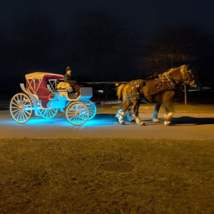 Twin Cities Horse and Trolley - Horse Drawn Carriage in St Francis, Minnesota