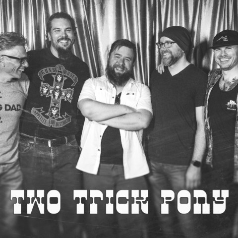 Hire Two Trick Pony - Cover Band in Ypsilanti, Michigan