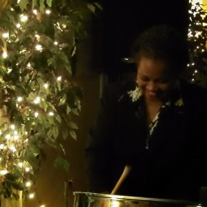 Ultimate Steel Band - Steel Drum Player in Hollywood, Florida