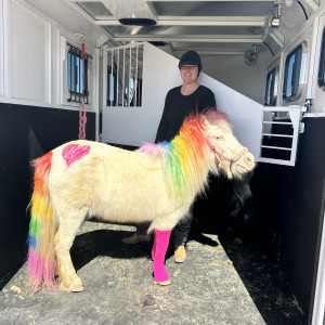 Unicorns and Pony Parties - Pony Party / Outdoor Party Entertainment in Hesperia, California