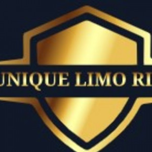 Unique Limo Ride