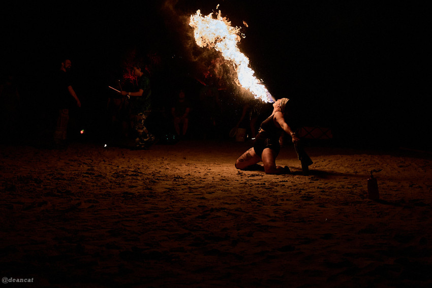 Gallery photo 1 of Untamed Flames