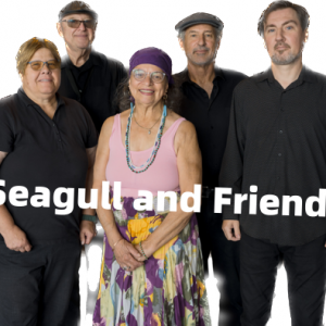 Seagull and Friends - Jazz Band in Milwaukee, Wisconsin